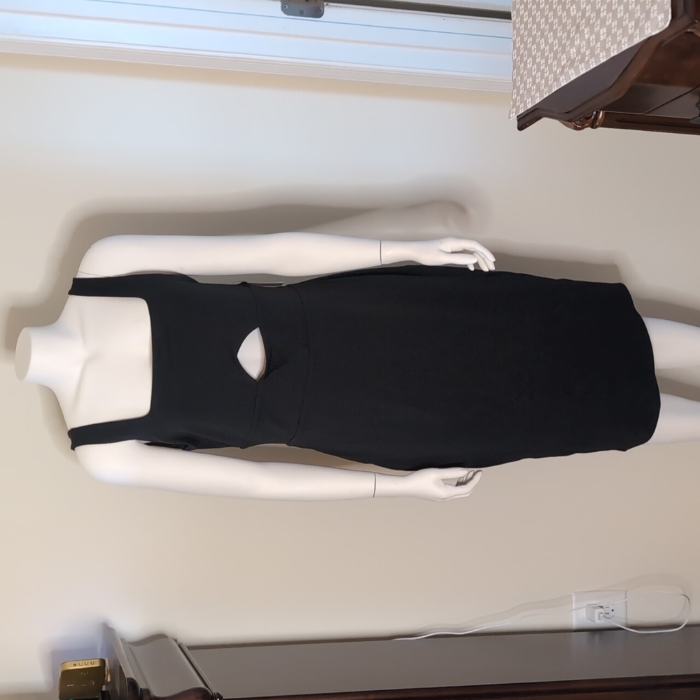 Cut out Express Dress